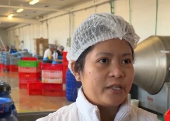 Të huajt për punë në Lezhë: Është shumë mirë, kërkesat dyfishohen në fillim të 2026, kryesojnë filipinezët