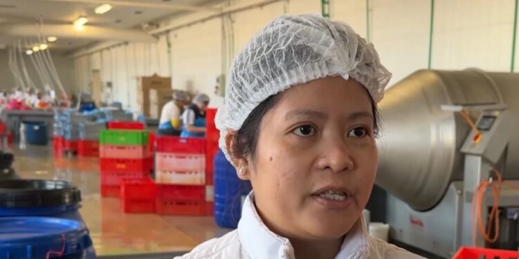 Të huajt për punë në Lezhë: Është shumë mirë, kërkesat dyfishohen në fillim të 2026, kryesojnë filipinezët