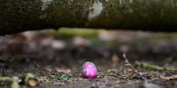 Tragjedi gjatë Pashkëve në Gjermani: Era e fortë shemb një pemë, duke shkaktuar vdekjen e tre individëve, përfshirë një foshnjë.