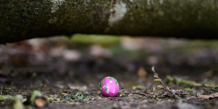 Tragjedi gjatë Pashkëve në Gjermani: Era e fortë shemb një pemë, duke shkaktuar vdekjen e tre individëve, përfshirë një foshnjë.