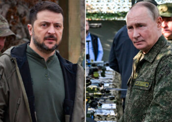 Ukraina kërkon takim midis Zelensky dhe Putinit, i drejtohet Turqisë për organizimin e bisedimeve të paqes