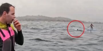 VIDEO: Ndjekje e frikshme në det nga peshkaqeni 4 metra që terrorizon sërfistin në Kaliforni