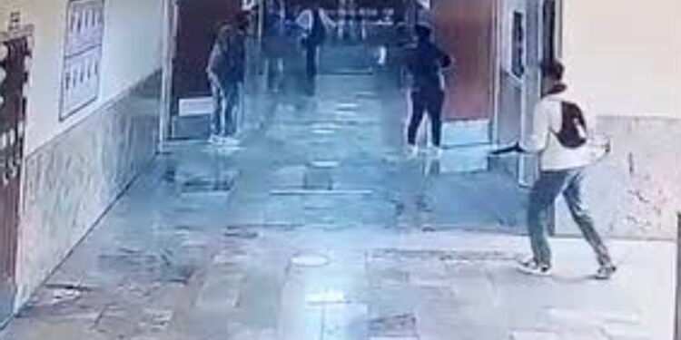 Video/ Momenti kur autori qëllon në Turqi, nxënësit vrapojnë të frikësuar nëpër klasa