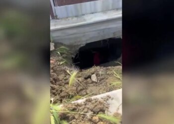 Vodhën eshtrat e gruas që vdiq para 17 vitesh, TCh siguron pamjet si hajdutët hapën tunelin nën dhé