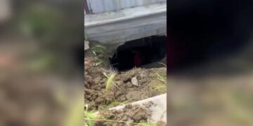 Vodhën eshtrat e gruas që vdiq para 17 vitesh, TCh siguron pamjet si hajdutët hapën tunelin nën dhé