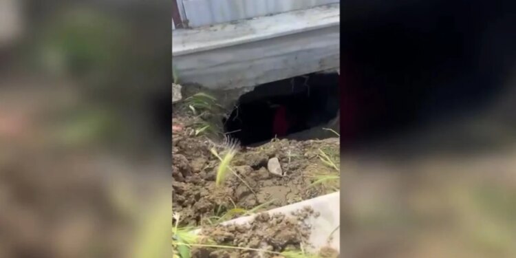 Vodhën eshtrat e gruas që vdiq para 17 vitesh, TCh siguron pamjet si hajdutët hapën tunelin nën dhé