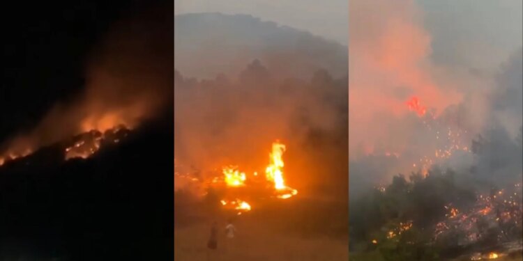 Zjarr në malin e Koshnicës në Gramsh: Thirrja e zjarrfikëses për një histori që rrezikon të përsëritet.