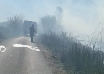 Zjarri kaplon përroin e Zharrëzës në Fier, flakët përhapen shpejt për shkak të erës.