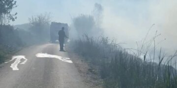 Zjarri kaplon përroin e Zharrëzës në Fier, flakët përhapen shpejt për shkak të erës.