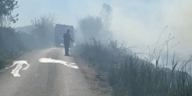 Zjarri kaplon përroin e Zharrëzës në Fier, flakët përhapen shpejt për shkak të erës.