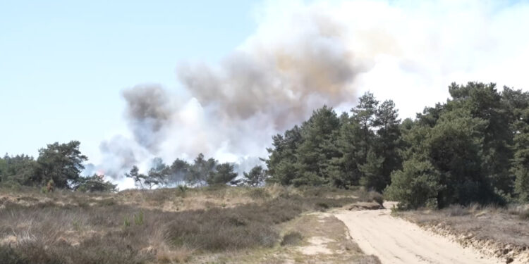 Zjarri pranë baze ushtarake në Holandë nxjerr në evakuim aeroportin Kempen, thatësira rrit rrezikun e përhapjes së flakëve