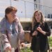 90,000 lekë mujore për sobë dhe frigorifer; faturisti lexoi sahatin njëherë në vit, familja në ndihmë ekonomike përballet