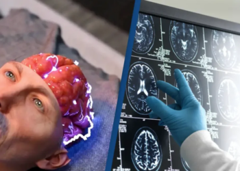 Ajo që quajmë realitet mund të jetë vetëm një simulim i trurit