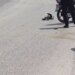 Aksident në Fier: makina përplaset me motorin, një i plagosur