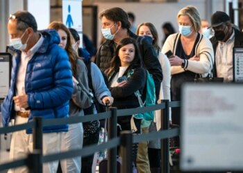 Alarmohet Europa: avion me pasagjer të infektuar me hantavirus zbarkon në Amsterdam, transferohet në spital