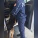 Arrestohet në Durrës 24-vjeçari që tentoi të trafikonte mbi 3 mijë fara kanabisi në Shqipëri