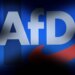 Befason AfD: Ballkani shumë i rëndësishëm për ne, Gjermania luan rol kryesor