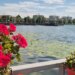 Belshi plot me turistë, të huajt vlerësojnë natyrën në pranverë, si dhe mikpritjen dhe traditat e zonës
