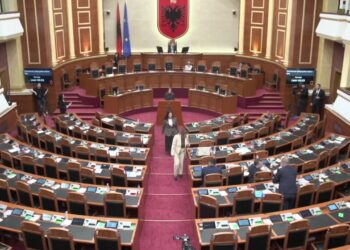 Debati për dialektin në Parlament: Gjuhëtarja thotë se duhet ruajtur gjuha standarde, përndryshe anarki