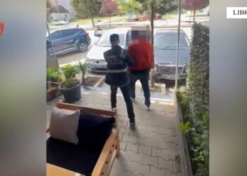 E ktheu lokalin në bazë për shitjen e drogës, arrestohet 32-vjeçari në Prrenjas; sekuestrohen kokainë dhe shuma parash