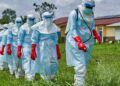 Ekspertët: Në Shqipëri nuk ka rrezik nga Ebola, por kujdes me udhëtimet në zonat e prekura