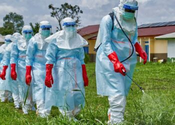 Ekspertët: Në Shqipëri nuk ka rrezik nga Ebola, por kujdes me udhëtimet në zonat e prekura