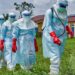 Ekspertët: Në Shqipëri nuk ka rrezik nga Ebola, por kujdes me udhëtimet në zonat e prekura