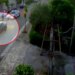 Ekspertët: Policët duhet të trajnohen më mirë për reagim në çdo situatë ndaj rinjve të armatosur pa eksperiencë