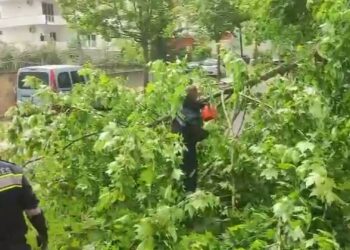 Era e fortë vazhdon të shkaktojë probleme në Vlorë; dy pemë bllokojnë rrugët