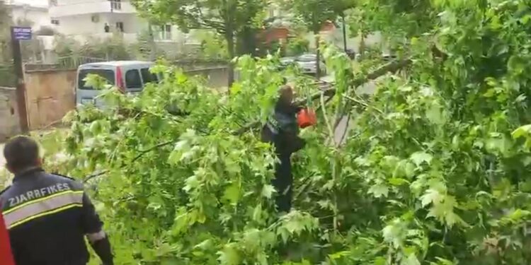 Era e fortë vazhdon të shkaktojë probleme në Vlorë; dy pemë bllokojnë rrugët