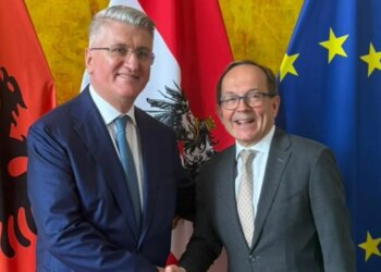 Gjekmarkaj takon Zëvendëspresidentin e Parlamentit Austriak, nënkryetari i Kuvendit: Shqipëria meriton zgjedhje të lira dhe drejtësi të pavarur