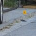 I dehur në timon përplasi për vdekje dy fëmijë; Nikoll Radiçi: Nuk mbaj mend; patenta pezulluar më parë