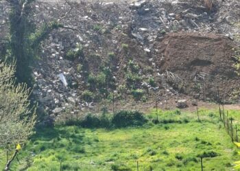 💥Denoncimi: Bert Sallaku futet në territorin e shkollës së qenëve, prish murin rrethues dhe rrethon pronën e policisë