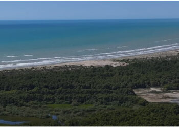 💥Zvërnec South Adriatic Development ndërpret kontratën me kompaninë e sigurisë pas incidentit: Nuk kishin asnjë autorizim nga ne, kërkojmë falje