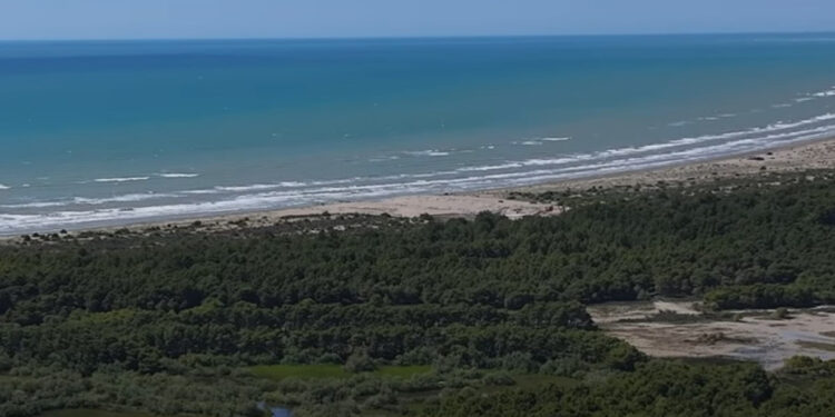 đ„ZvĂ«rnec South Adriatic Development ndĂ«rpret kontratĂ«n me kompaninĂ« e sigurisĂ« pas incidentit: Nuk kishin asnjĂ« autorizim nga ne, kĂ«rkojmĂ« falje