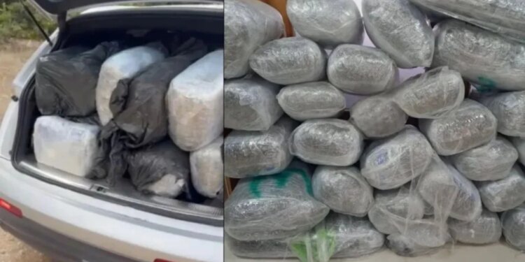 Kapen 167 kg marijuanë në kufirin greko‑shqiptar; arrestohet një shqiptar që rriti shpejtësinë pas urdhrit për t'u ndalur