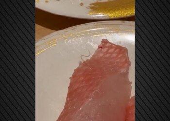 Klienti gjen parazit të gjallë në pjatën me sushi; videoja bëhet virale