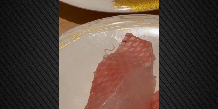 Klienti gjen parazit të gjallë në pjatën me sushi; videoja bëhet virale