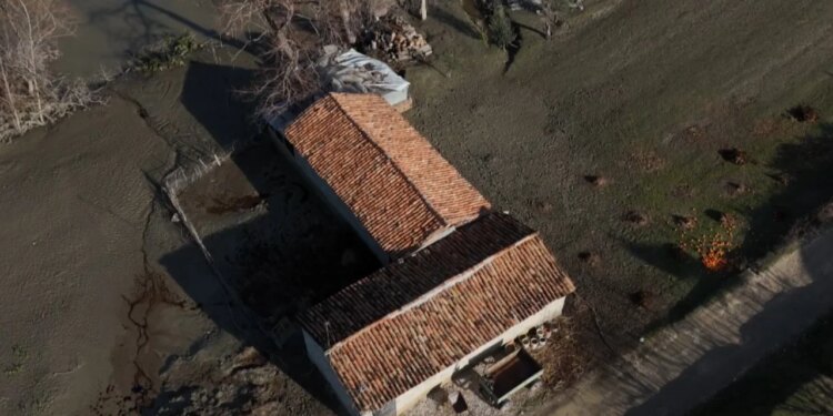Kriteret e dëmshpërblimit për fermerët që pësuan humbje nga murtaja e ruminantëve