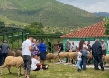 Kurban Bajrami festohet në Bulqizë, qindra besimtarë bashkohen në aktivitete dhe rite fetare