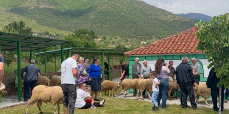 Kurban Bajrami festohet në Bulqizë, qindra besimtarë bashkohen në aktivitete dhe rite fetare
