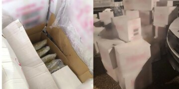 Në Greqi goditet karteli i drogës; kapen 500 kg kanabis në Igumenicë, arrestohet shoferi bullgar. Destinacioni ishte…