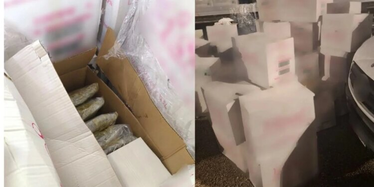 Në Greqi goditet karteli i drogës; kapen 500 kg kanabis në Igumenicë, arrestohet shoferi bullgar. Destinacioni ishte…