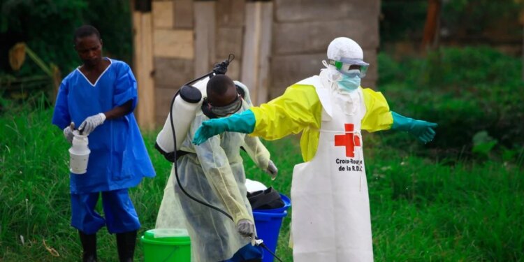 Pas hantavirusit, Ebola: Sa i rrezikshëm është shpërthimi në Kongo për njerëzit?