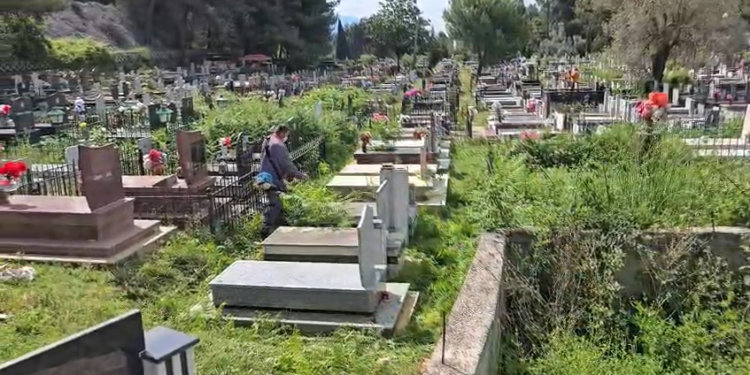 Pastrohen varrezat e Krujës pas ankesave të banorëve, pasi shkurret kishin mbuluar varret dhe rrugicat