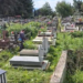 Pastrohen varrezat e Krujës pas ankesave të banorëve, pasi shkurret kishin mbuluar varret dhe rrugicat
