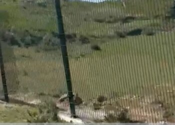 Për pasojë të incidentit të dhunshëm në Zvërnec, hiqet teli me gjemba nga rrethimi i kantierit