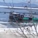 Përmbyset anija në liqenin e Bajkalit: kanë vdekur pesë turistë, shpëton mrekullisht një i mitur