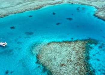 Pesë turistë italianë humbin jetën gjatë një zhytjeje në Maldive