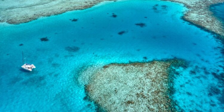 Pesë turistë italianë humbin jetën gjatë një zhytjeje në Maldive